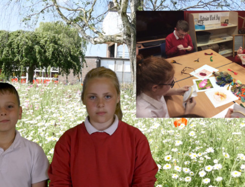 Year 5/6 Meadow Projects